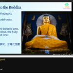 Lesson screen